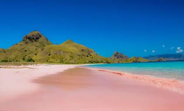 Pink Sand Beach – Indonesia