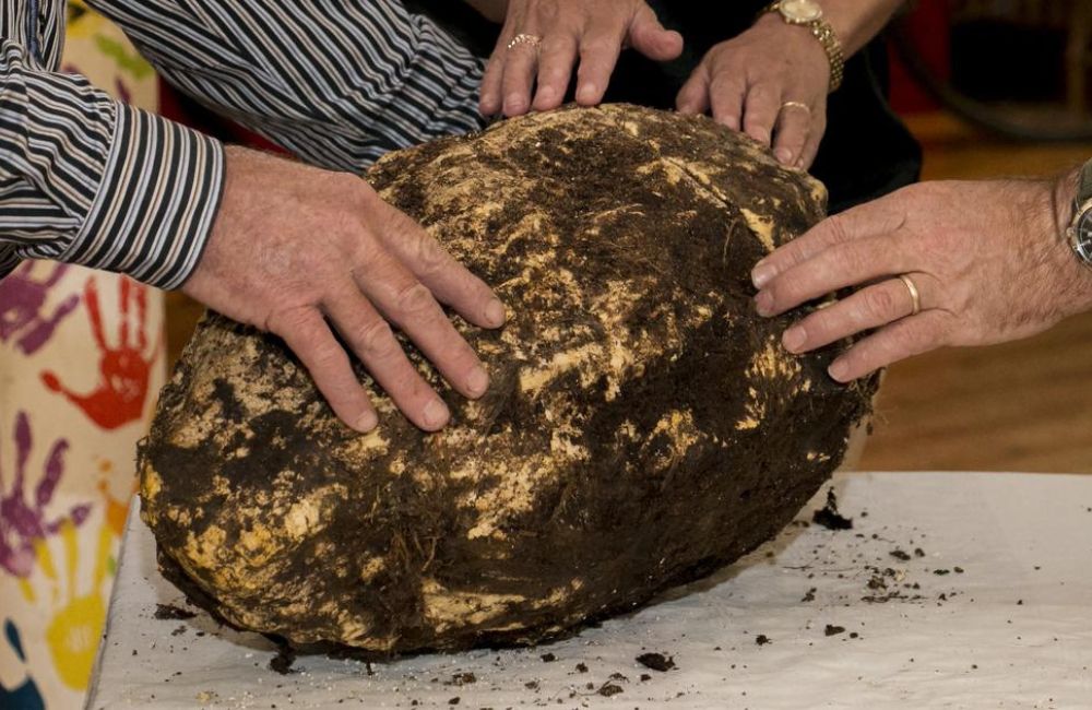 Gardener Found 2,000-Year-Old 22-lb Lump of Butter