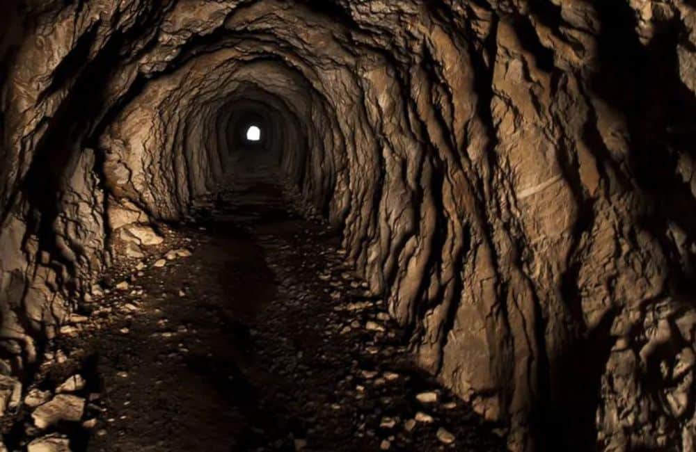 Man Discovers Sprawling Tunnel System Filled With Bats in His Home