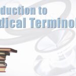 Understanding Medical Terminology: A Beginner's Guide